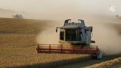 Аграриям Ставрополья выплатят краткосрочные кредиты на 12,5 миллиарда рублей