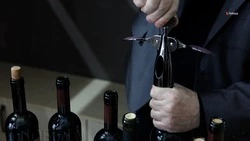 Алкоголь ослабляет защитные силы организма — минздрав Ставрополья
