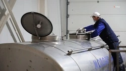 Объёмы производства молока увеличились на 6% на Ставрополье