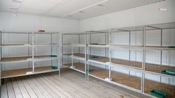 Ещё 40 мест появится в ПВС для бездомных животных в Благодарненском округе 