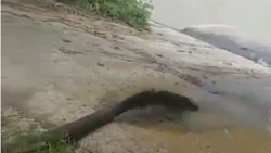 Невинномысский водоканал уличили в загрязнении реки Кубань