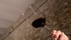 Алкоголь повышает риск развития нескольких видов рака — минздрав Ставрополья