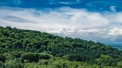 Ставропольцев приглашают поделиться экологическими инициативами на всероссийском форуме 