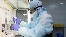 Учёный Ставропольского края высказалась о новой разработке «детектора коронавируса» 