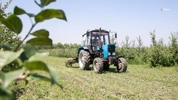 Глава Ставрополья поручил ускорить выплату субсидий аграриям
