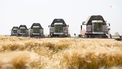 Более 3,6 млн тонн зерна отправили в закрома на Ставрополье