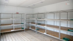 Ещё 40 мест появится в ПВС для бездомных животных в Благодарненском округе 