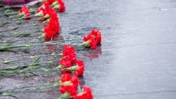 Проект мемориала участникам спецоперации одобрили в Благодарненском округе