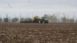 Сев яровых на Ставрополье выполнили на 82%