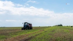 Ставропольские хозяйства приступили к заготовке кормов для животных