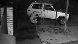 Двое парней из Благодарненского округа воровали бензин ради свиданий