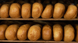 Стоимость социальной булки хлеба на Ставрополье планируют «заморозить» до конца года